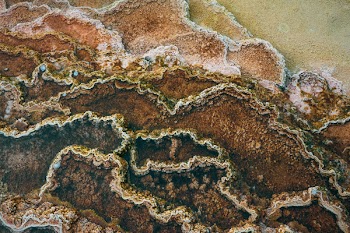 Brown and Beige Abstract Painting