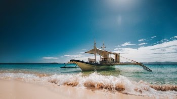 brown and black boat on seashore during daytime