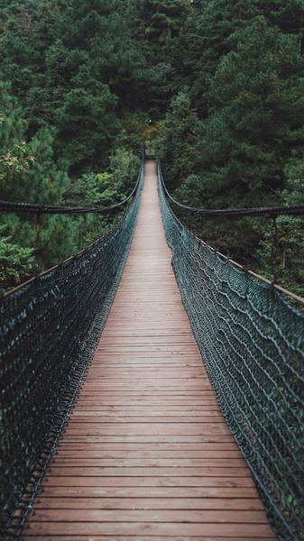 brown and black bridge and trees