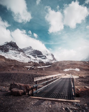Brown and Black Bridge on Road