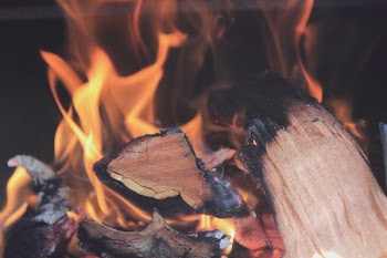 Brown and Black Burnt Wood Near Fire