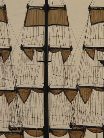 Brown and Black Galleon Sails