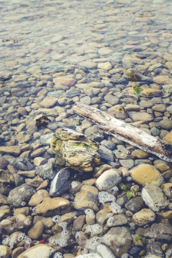 Brown and Black Rocks Submerged on Body of Water