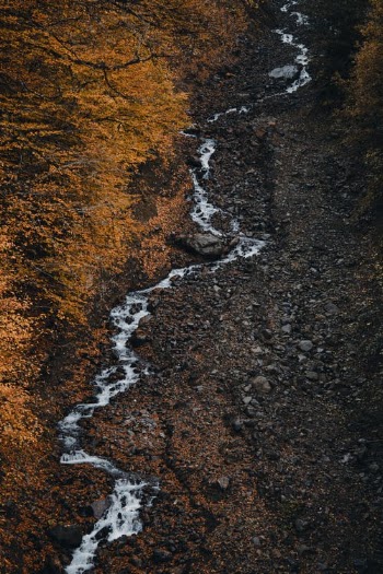 Brown and Black Rocky Shore · Free Stock Photo