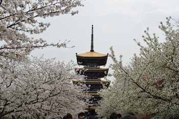Brown and Black Temple