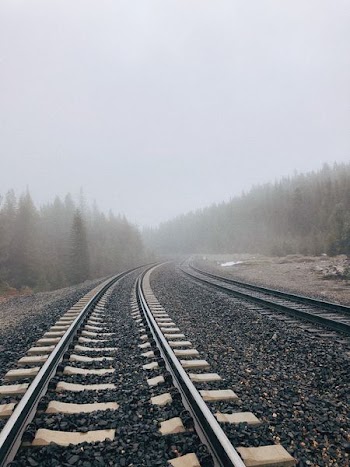 brown and black train track in between trees phtoography