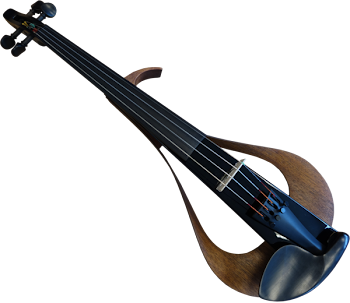Brown and Black Violin