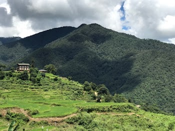 Brown and Black Wooden House Surrounded of Trees Near Mountain Under White Sky