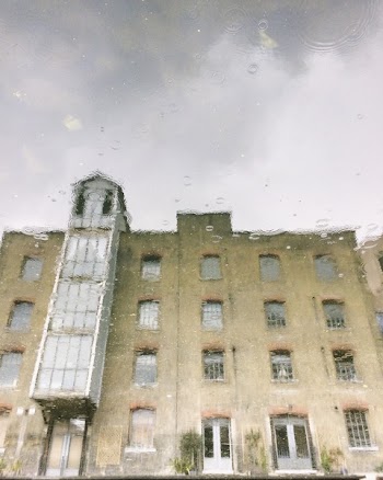 Brown and Gray Building Water Reflection