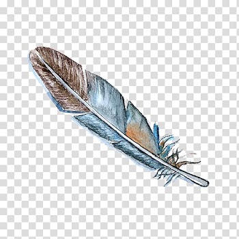 Brown and gray feather art, Feather Bird Watercolor painting Drawing, feather transparent background PNG clipart