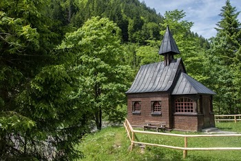 Brown and Gray House Surrounded by Trees
