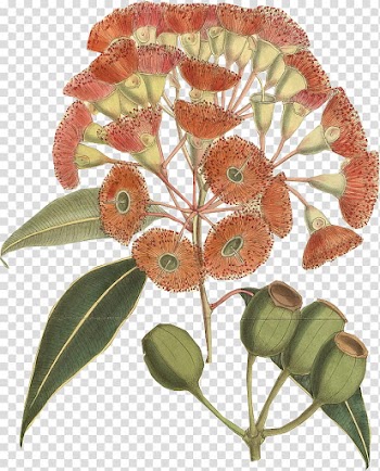 Brown and green floral wreath transparent background PNG clipart