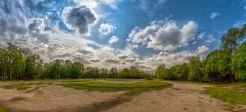 Brown and Green Forest Under Cloudy Sky