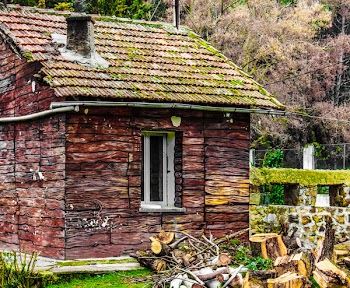 Brown and Green House
