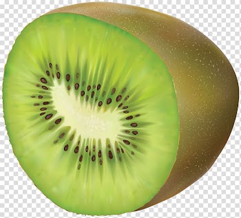 Brown and green kiwi fruit illustration, Kiwifruit , Kiwi transparent background PNG clipart