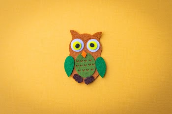 Brown And Green Owl Patch