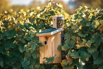Brown and Green Wooden Birdhouse