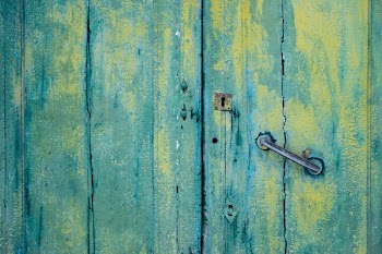 brown and green wooden plank boards