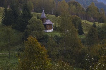 Brown and Grey House Near Green Tree at Daytime