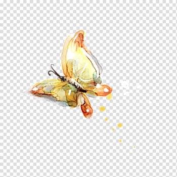 Brown and red butterfly illustration, Butterfly Watercolor painting Ink wash painting, Watercolor butterfly transparent background PNG clipart