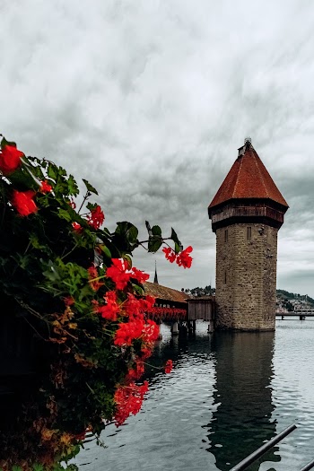 Brown and Red Concrete Building Near Body of Water Under White Sky