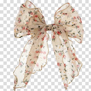 , brown and red floral gift bow transparent background PNG clipart