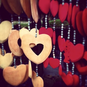 Brown and Red Heart Shape Shallow Focus Photography