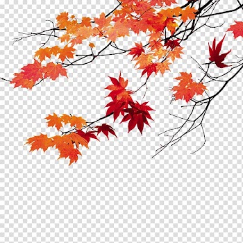 Brown and red maple leaves illustration, Maple leaf, Maple Leaf transparent background PNG clipart