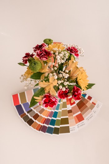 Brown and Red Petaled Flowers Near Color Palettes