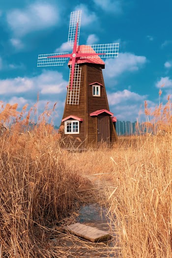 Brown and Red Wooden House