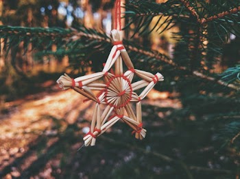 Brown and Red Wooden Star Decor