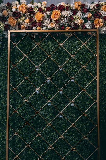 Brown and White Artificial Flowers on Green Wall