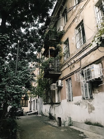 Brown and White Building Beside Green Tree