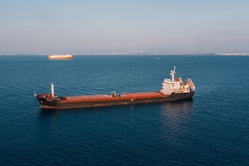 Brown and White Cargo Ship