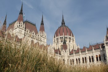 Brown and White Cathedral