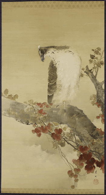 brown and white eagle with grey | Free Photo - rawpixel