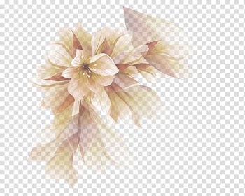 Brown and white flower , Petal Flower, Fantasy Flowers transparent background PNG clipart