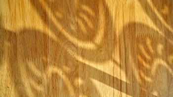 Brown and White Surface