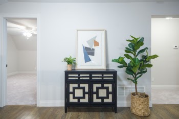 Brown and White Wooden Cabinet Near Green Leafed Plant