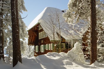 Brown and White Wooden House Covered With Snow