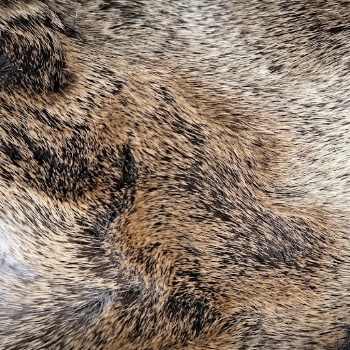 Brown animal fur texture,  | Free Photo - rawpixel