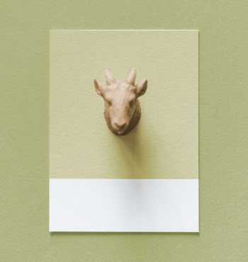 Brown Animal Head Wall Decor