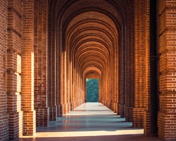 brown arch interior pathway near trees