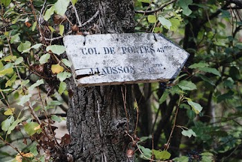 Brown Arrow Signage on Tree