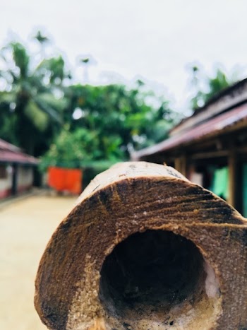 Brown Bamboo