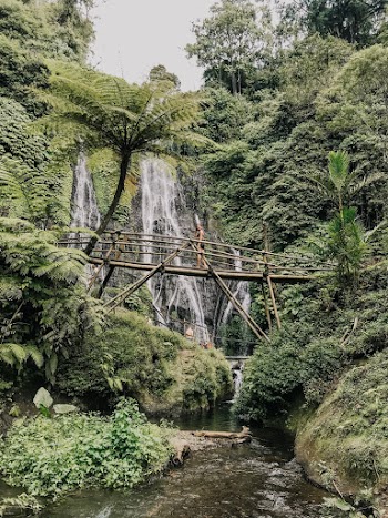Brown Bamboo Bridge Near Trees