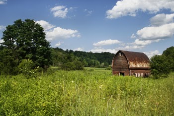Brown Barn Surrounded by Green Grass