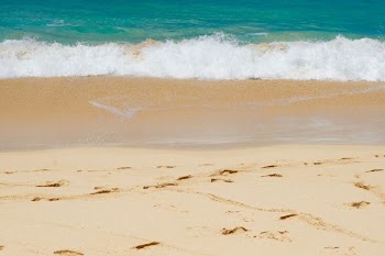 brown beach sand