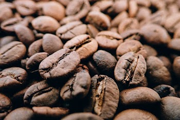 Brown Beans