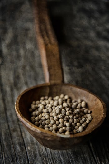Brown Beans on a Brown Wooden Spoon